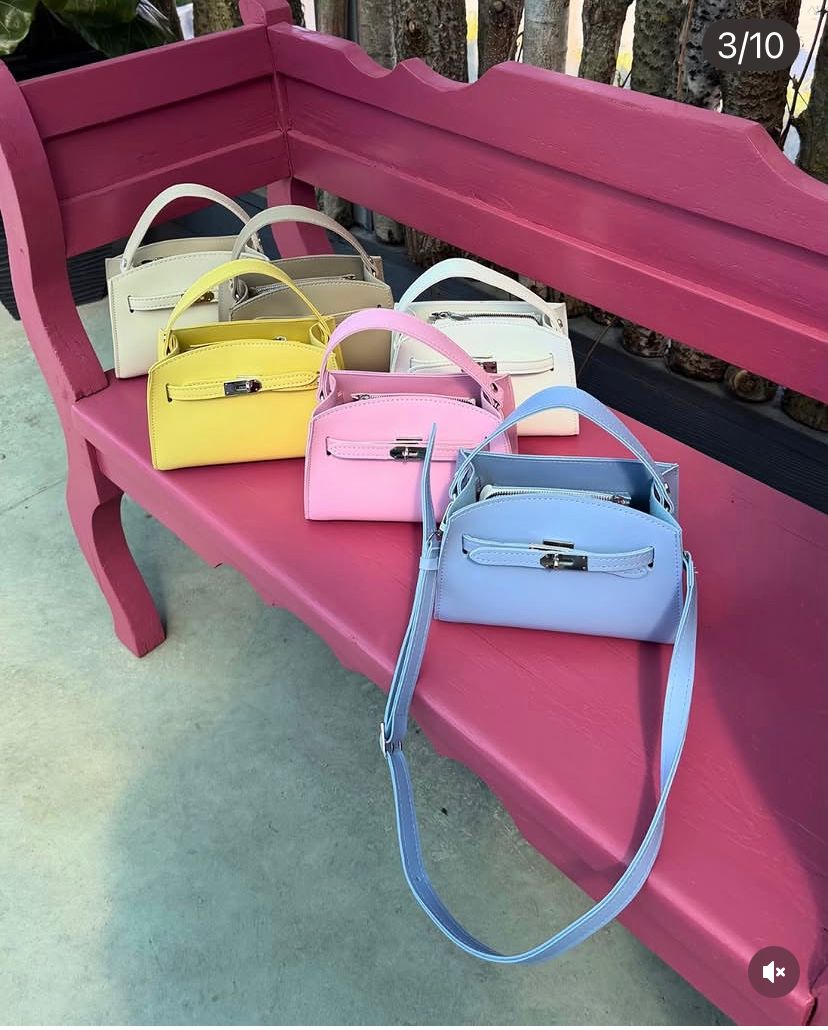 Mini Geantă Suede Birkin