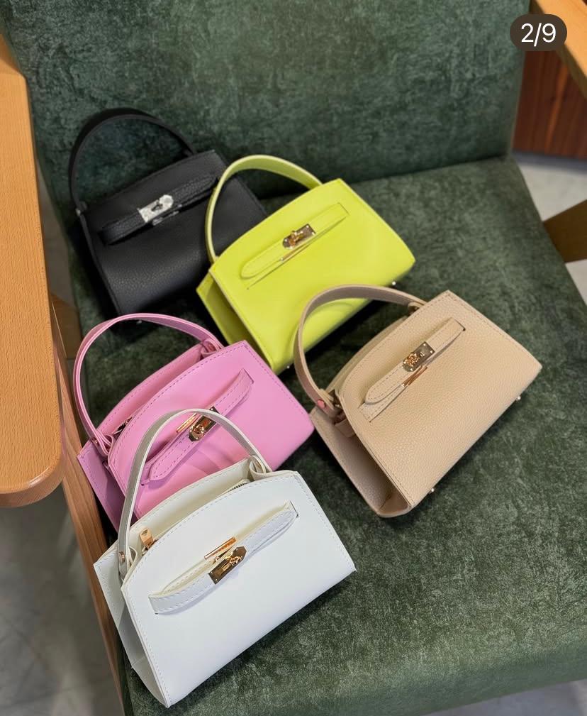 Mini Geantă Suede Birkin